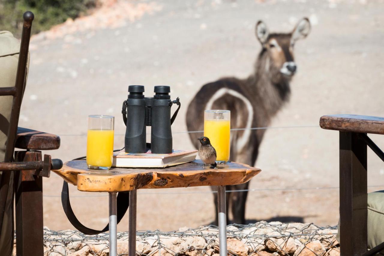 Anderssons At Ongava Villa Okaukuejo Bagian luar foto