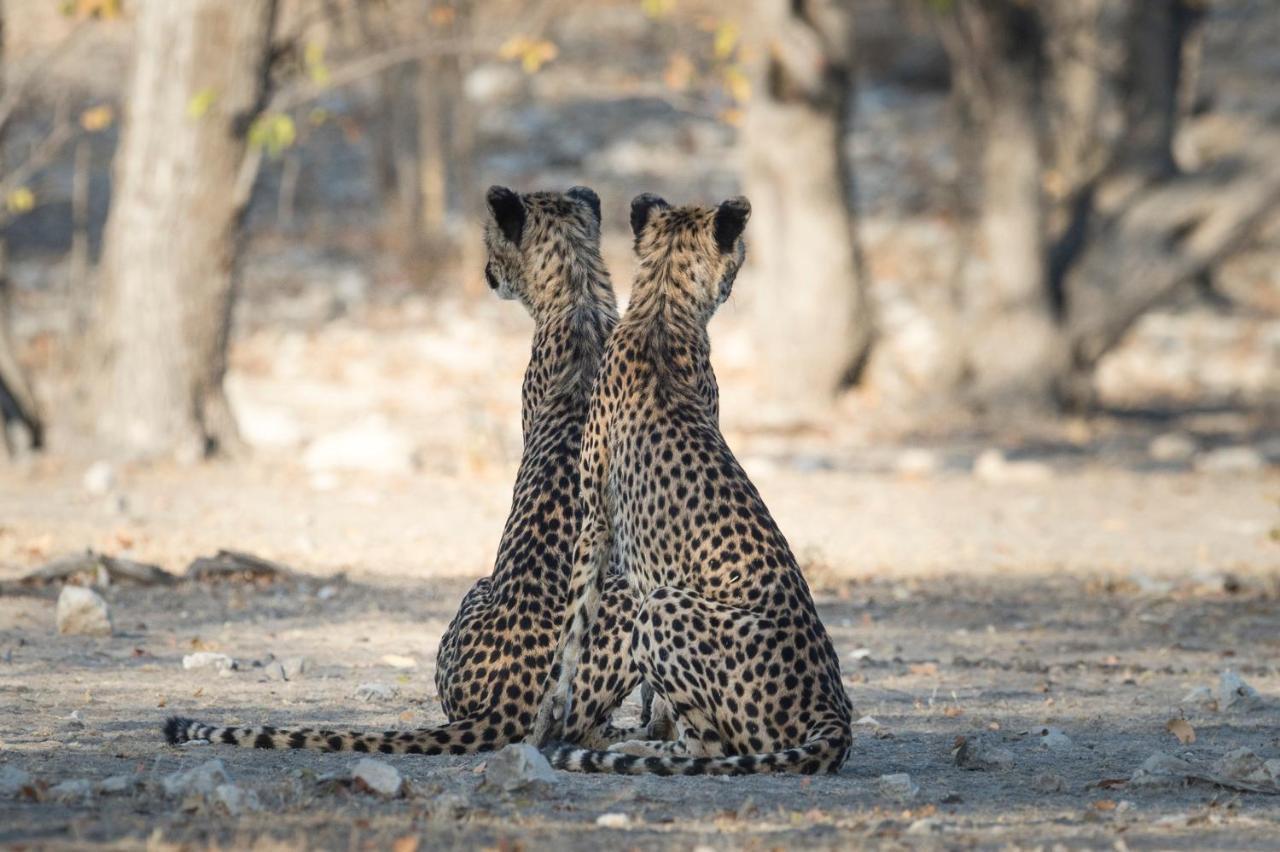 Anderssons At Ongava Villa Okaukuejo Bagian luar foto